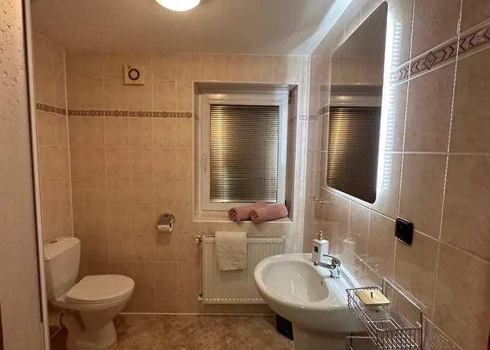 Penzion Benešov 3*